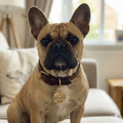 Alternative view of Жетон-адресник латунний шестигранний з гравіюванням "Гірський пейзаж"