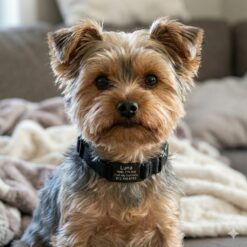 Алюмінієвий Slide-On Адресник на йоркському терьєрі