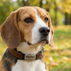 Alternative view of Безшумний адресник (Slide-On) з чорної нержавіючої сталі на силіконовому кріпленні