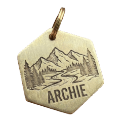 Жетон-адресник латунний шестигранний з гравіюванням "Гірський пейзаж"